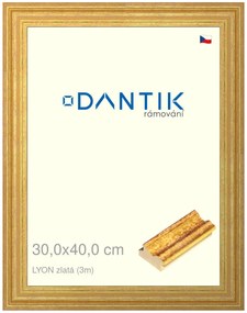 DANTIK rám na obraz 30x40 | LYON zlatá (Plexi Čiré)