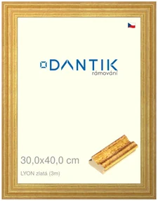 DANTIK rám na obraz 30x40 | LYON zlatá (Plexi Čiré)