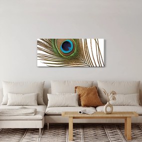 Obraz pávieho peria (120x50 cm)