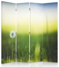 Ozdobný paraván, Pampeliška v zelené trávě - 145x170 cm, štvordielny, obojstranný paraván 360°