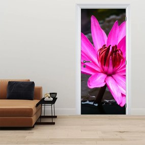 Fototapeta na dvere - Ružový kvet (95x205cm)