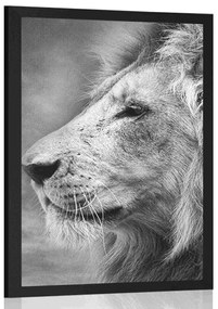 Plagát africký lev v čiernobielom prevedení - 60x90 white