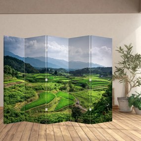 Paraván - Ryžové polia (210x170 cm)