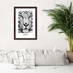 Gario Plagát Biely tiger Farba rámu: Bez rámu, Rozmery: 30 x 45 cm