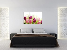 Tulipány, maľby