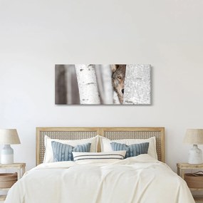Obraz - Vlk (120x50 cm)