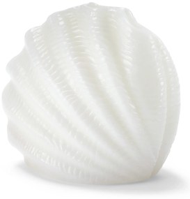 Dekoračná mušľa s LED