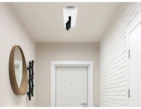 LED Stmievateľné stropné svietidlo LED/42W/230V 3000-6500K biela + diaľkové ovládanie