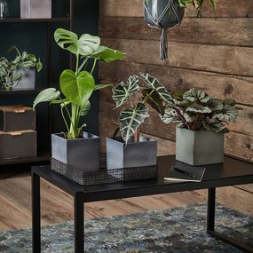 Fialový keramický kvetináč Big pots Latina, 15 x 15 cm