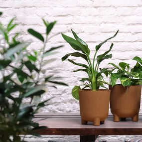 PLASTOVÝ KVETINÁČ HARMONY ECO 18X16 CM HNEDÁ