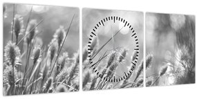 Obraz - Béžová soft grass N⁰1 (s hodinami) (90x30 cm)