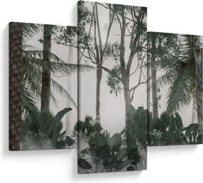 Obraz - Jungle v rannej hmle (90x60 cm)