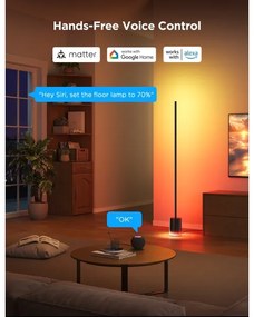 Govee - LED Stojacia lampa Smart MATTER LED RGBICWW Wi-Fi + DO