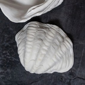 Dekoratívna misa z polyresínu 24x19 cm Shell – Mette Ditmer Denmark