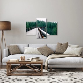 Obraz - Most k vrcholkom stromov (90x60 cm)