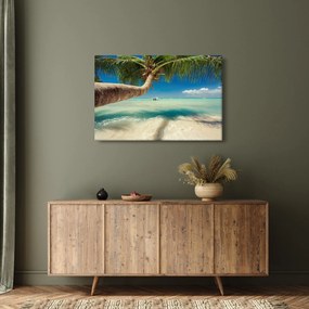 Obraz - Čisté more s palmou (90x60 cm)