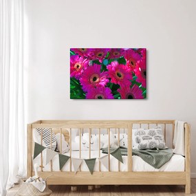 Obraz - kvety (90x60 cm)