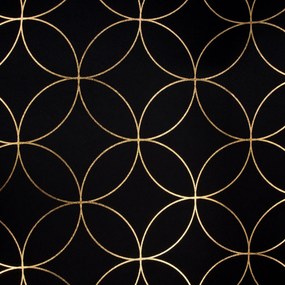 ZATEMŇOVACÍ ZÁVES NA KRÚŽKOCH ABELLA 135X250 CM ČIERNA