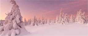 Obraz - Stromy pod snehovou prikrývkou (120x50 cm)