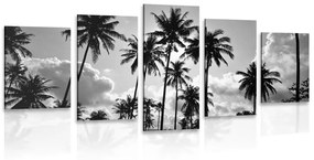 5-dielny obraz kokosové palmy na pláži v čiernobielom prevedení - 100x50