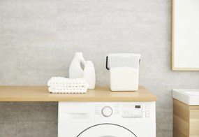 Rotho Box na prací prášok (5 kg), 9 l, s rúčkou, DETERGENT