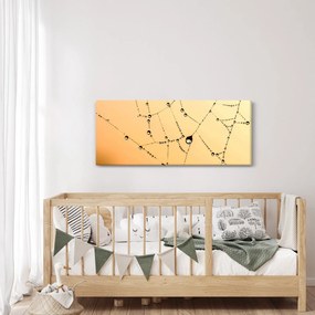 Obraz orosenej pavučiny (120x50 cm)
