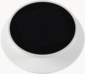 Solárne bodové LED svietidlo Solia Spike