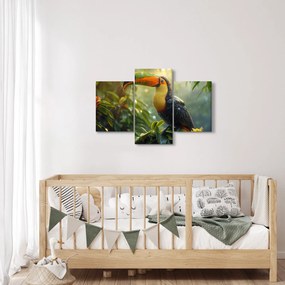 Obraz - Tukan (90x60 cm)