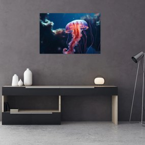 Obraz - Medúzka (90x60 cm)