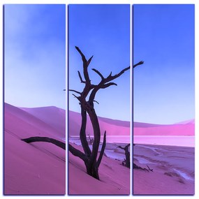Obraz na plátne - Mŕtvy strom v dunach - štvorec 3130FB (105x105 cm)