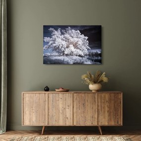 Obraz - Snehobiely strom (90x60 cm)