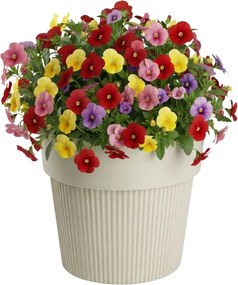 Sada 4 ks květináčů Silva Line béžová