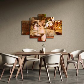 Obraz mačky v kvetináči (150x105 cm)