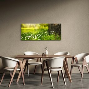 Obraz paseky a kvetín (120x50 cm)