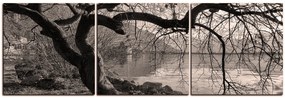 Obraz na plátne - Jeseň pri jazere - panoráma 5198QB (120x40 cm)