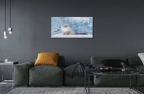 Sklenený obraz mačka zima 125x50 cm