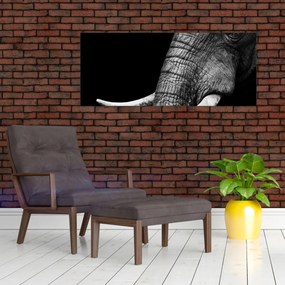 Obraz - Slonie kly (120x50 cm)