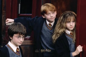 Umelecká tlač Harry Potter - Finally over, (40 x 26.7 cm)