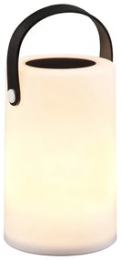 LED solárne vonkajšie svietidlo (výška 21 cm) Garcia – Reality