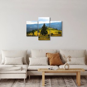 Obraz - Horská lúka (90x60 cm)