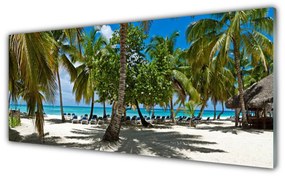 Obraz plexi Pláž palma stromy príroda 125x50 cm
