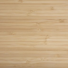 Sklenená šalátová miska s pokrievkou Smart 2,7l