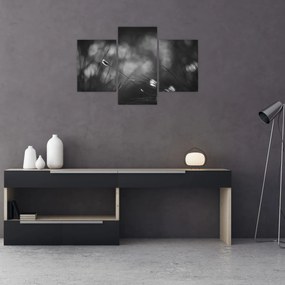 Obraz - Lúčna tráva (90x60 cm)