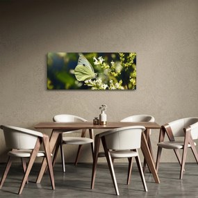 Obraz motýľa (120x50 cm)