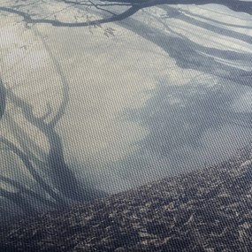 Obraz - Les v hmle (90x60 cm)
