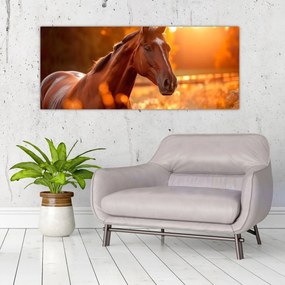 Obraz - Kôň v západe slnka (120x50 cm)