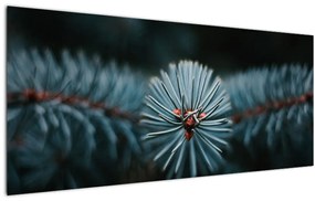 Obraz vetvičky ihličnatého stromu (120x50 cm)