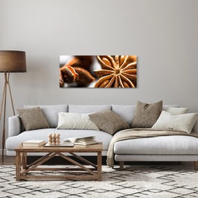 Obraz - Aníz (120x50 cm)