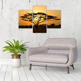 Obraz - Africká savana (90x60 cm)