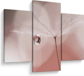 Obraz - Kvapka rosy (90x60 cm)
